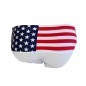 SLIP DE BAIN USA FLAG BLANC - US POLO ASSN