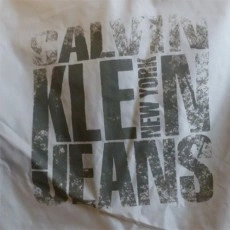 CALVIN KLEIN JEANS VESTE DE PRINTEMPS GRISE