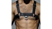 HARNESS LEATHER NOIR ADF30 - ADDICTED