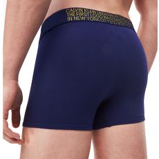 BOXER TRUNK STATEMENT 1981 BLEU/VIOLET  - CALVIN KLEIN 