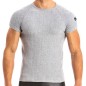 T-SHIRT BULL GRIS 12841 - MODUS VIVENDI