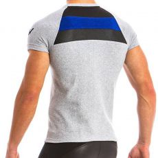 T-SHIRT BULL GRIS 12841 - MODUS VIVENDI