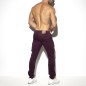 PANTALON CARGO PRUNE - ES COLLECTION