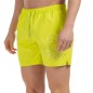 SHORT DE BAIN SILVER EAGLE VERT ANIS - ARMANI