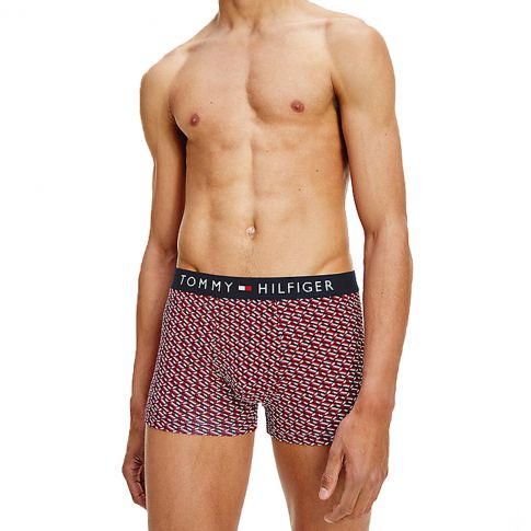 BOXER MOTIF IMPRIME ORGANIC COTTON ISO FLAG M01831 - TOMMY HILFIGER