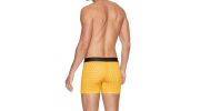 PACK DE DEUX BOXERS JAUNE ET NOIR EN COTON STRETCH - E659G52 - EDEN PARK