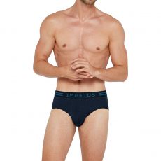 PACK DE DEUX SLIPS MARINE ET BLEU 1112K49P2 - IMPETUS