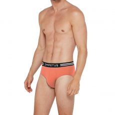PACK DE DEUX SLIPS ORANGE ET BLEU 1112K49P2 - IMPETUS