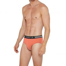 PACK DE DEUX SLIPS ORANGE ET BLEU 1112K49P2 - IMPETUS