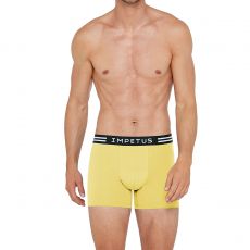 PACK DE DEUX BOXERS JAUNE ET BLEU EN COTON STRETCH 1247K49P2 - IMPETUS