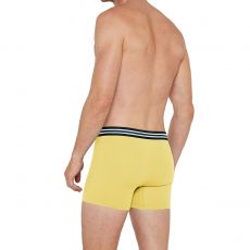 PACK DE DEUX BOXERS JAUNE ET BLEU EN COTON STRETCH 1247K49P2 - IMPETUS