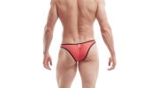 TANGA ROUGE ET NOIR BRILLANT POISON - 377B44 - WOJOER