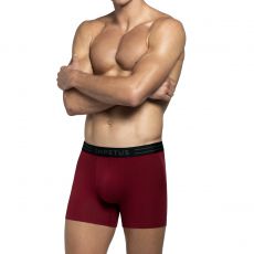 PACK DE DEUX BOXERS BORDEAUX ET VERT IM1221L14P2 - IMPETUS