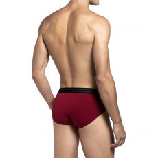 PACK DE DEUX SLIPS BORDEAU ET VERT IM1121L14P2 - IMPETUS