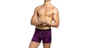 BOXER VIOLET A MOTIF 1221K9900 - IMPETUS
