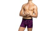 BOXER VIOLET A MOTIF 1221K9900 - IMPETUS