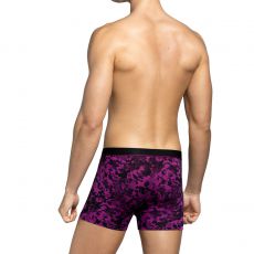 BOXER VIOLET A MOTIF 1221K9900 - IMPETUS