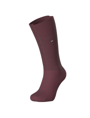 PAIRE DE CHAUSSETTES A RAYURES DISCRETES BORDEAUX EP1733A1000 - EDEN PARK