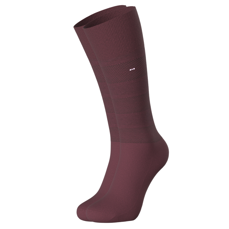 PAIRE DE CHAUSSETTES A RAYURES DISCRETES BORDEAUX EP1733A1000 - EDEN PARK