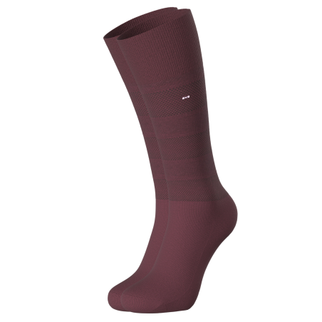 PAIRE DE CHAUSSETTES A RAYURES DISCRETES BORDEAUX EP1733A1000 - EDEN PARK