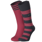 PACK DE 2 PAIRES DE CHAUSSETTES A RAYURES BORDEAUX  EP1733A08P2 - EDEN PARK