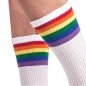 PAIRE DE CHAUSSETTES PRIDE BLANCHE 91742 - BARCODE BERLIN PAIRE DE CHAUSSETTES PRIDE BLANCHE 91742 - BARCODE BERLIN