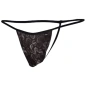 STRING FICELLE DOLLAR PROVOCATIVE C4M02- CUT4MEN