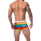 BOXER ATHLETIQUE ARC-EN-CIEL RENAISSANCE  C4M06- CUT4MEN