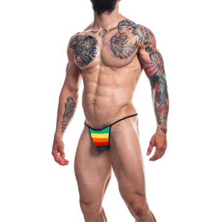 BRIEFKINI ARC-EN-CIEL RENAISSANCE  C4M12- CUT4MEN