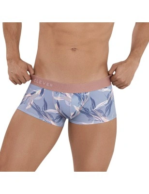 BOXER ARCANE LATIN GRIS 1134 - CLEVER