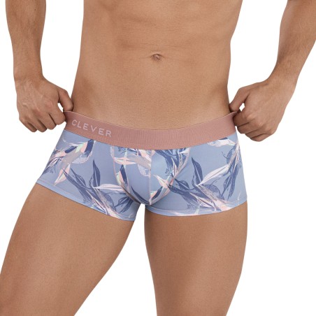 BOXER ARCANE LATIN GRIS 1134 - CLEVER