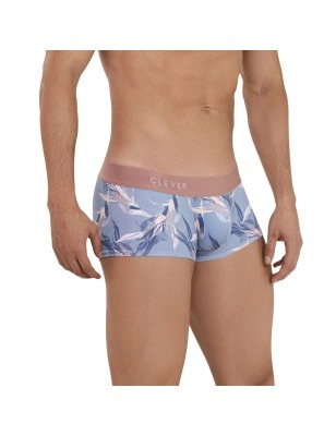 BOXER ARCANE LATIN GRIS 1134 - CLEVER