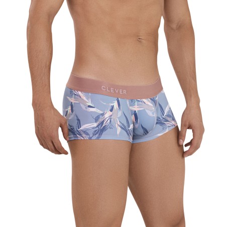 BOXER ARCANE LATIN GRIS 1134 - CLEVER