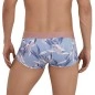 BOXER ARCANE LATIN GRIS 1134 - CLEVER BOXER ARCANE LATIN GRIS 1134 - CLEVER