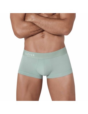 BOXER TRIBE VERT PASTEL 1306 - CLEVER