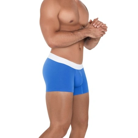 BOXER TETHIS PASTEL BLEU 1508 - CLEVER