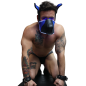 MASQUE CHIEN POUNTDOWN NEON BLEU 2312M - BREEDWELL MASQUE CHIEN POUNTDOWN NEON BLEU 2312M - BREEDWELL