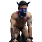 MASQUE CHIEN POUNTDOWN NEON BLEU 2312M - BREEDWELL