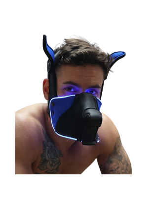 MASQUE CHIEN POUNTDOWN NEON BLEU 2312M - BREEDWELL