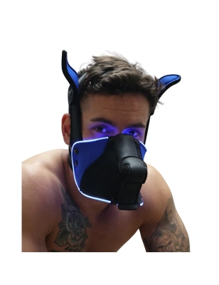 MASQUE CHIEN POUNTDOWN NEON BLEU 2312M - BREEDWELL