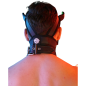 MASQUE CHIEN POUNTDOWN NEON VERT 2312M - BREEDWELL MASQUE CHIEN POUNTDOWN NEON VERT 2312M - BREEDWELL