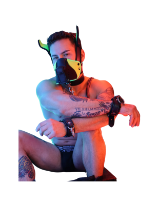 MASQUE CHIEN POUNTDOWN NEON VERT 2312M - BREEDWELL