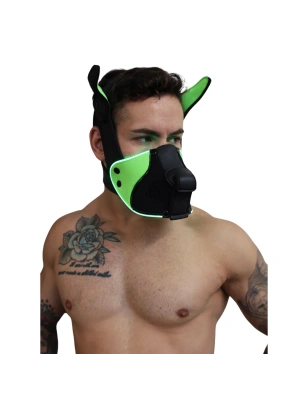 MASQUE CHIEN POUNTDOWN NEON VERT 2312M - BREEDWELL