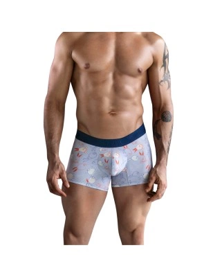 BOXER CONEY MOTIFS LAPIN BLEU LILA 172319 - CLEVER