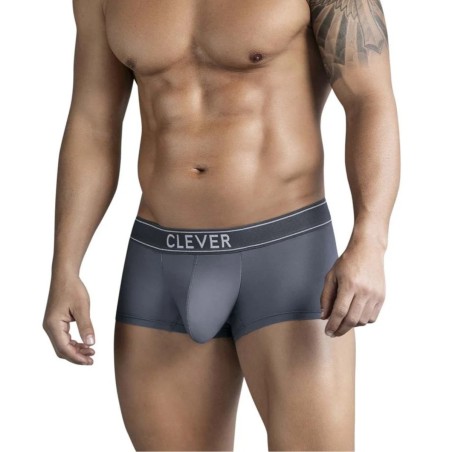 BOXER CRAFTINESS LATIN GRIS 175113- CLEVER