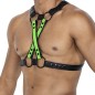 HARNAIS 4WAY GRAINE VERT H4RNESS06 - CUT4MEN