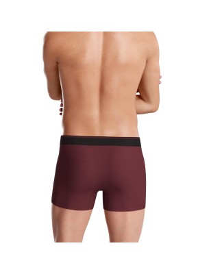BOXER UNI EN COTON BORDEAUX  - EP1221H7700 - EDEN PARK