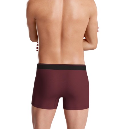 BOXER UNI EN COTON BORDEAUX  - EP1221H7700 - EDEN PARK